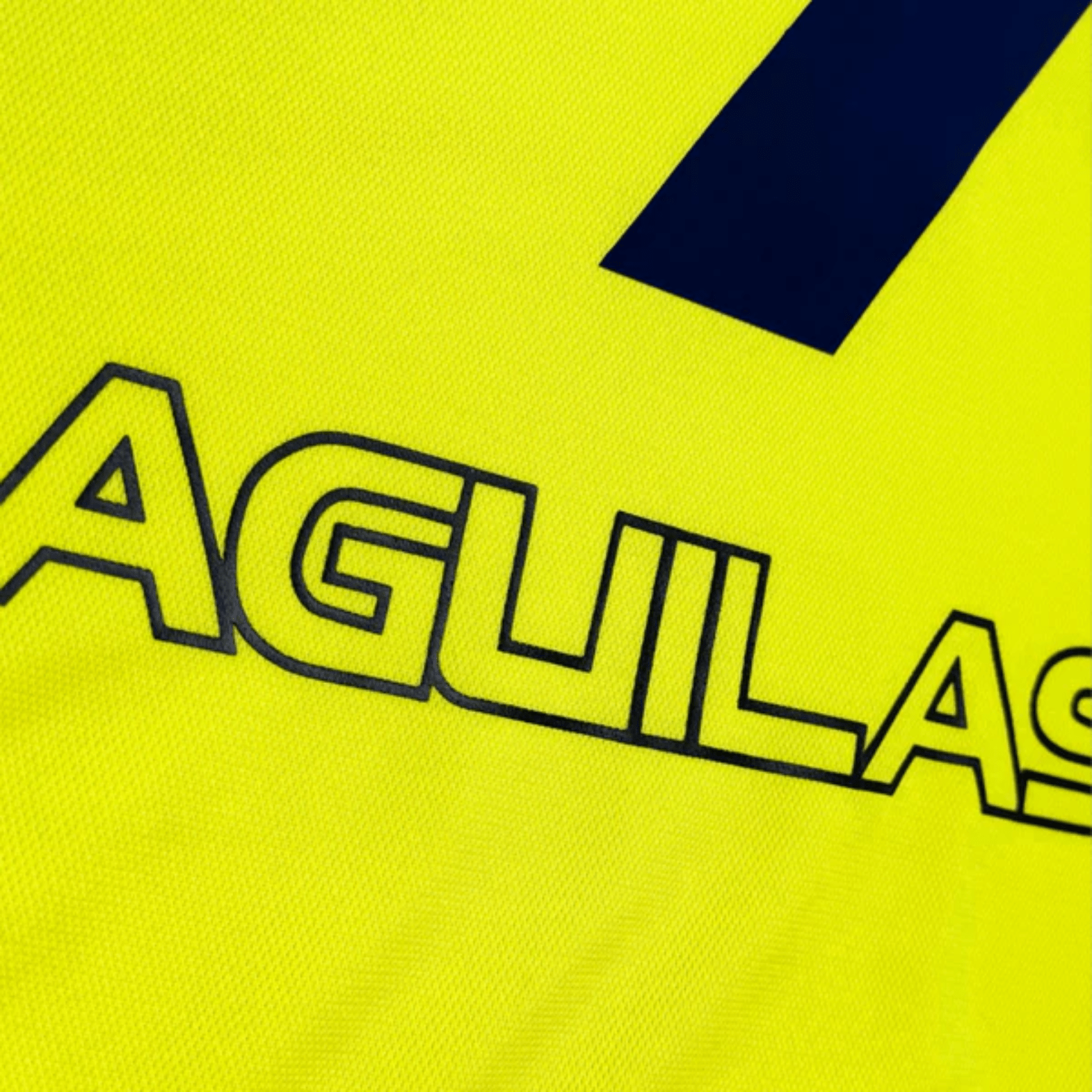 Jersey América 2001-2002